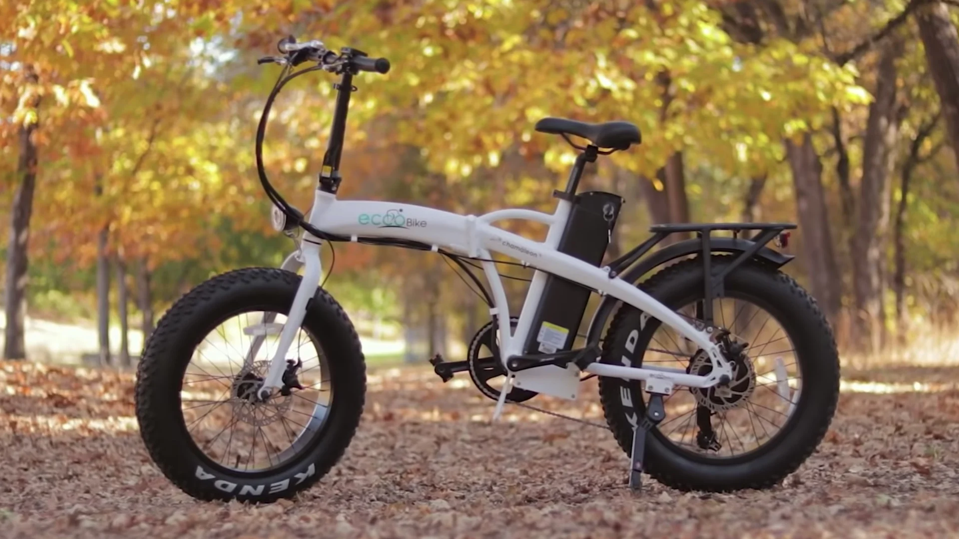 ecco electric bike
