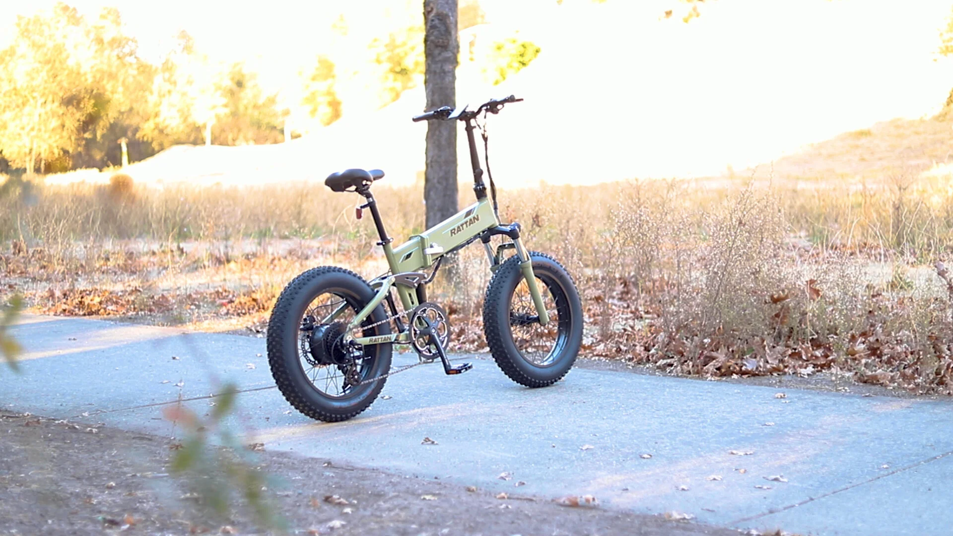 rattan fat bear ebike