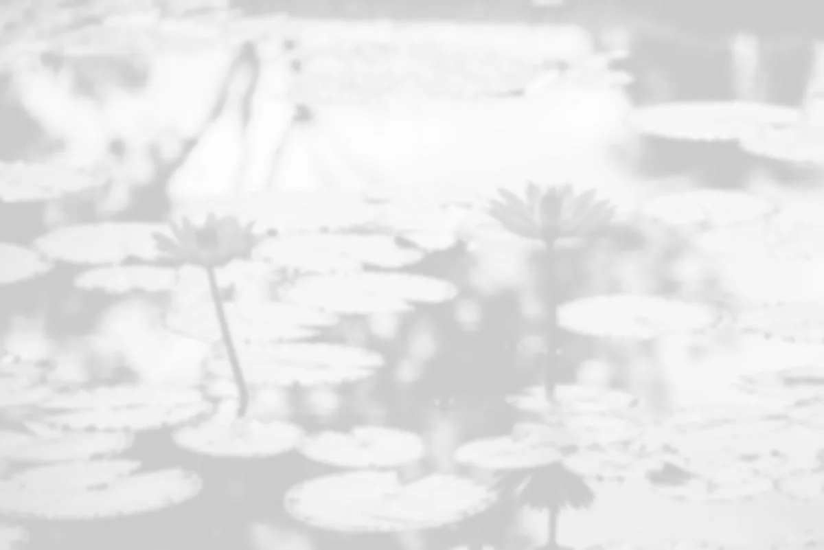background-lilies2.jpg