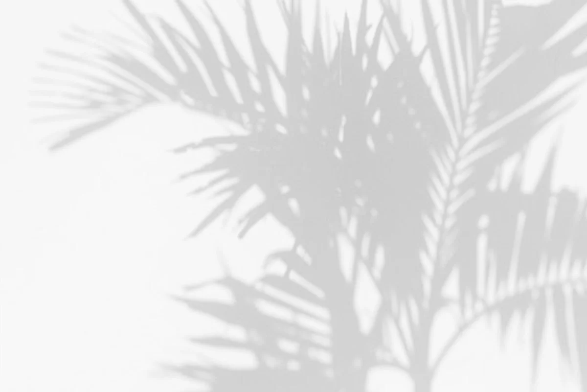 background-palms4.jpg