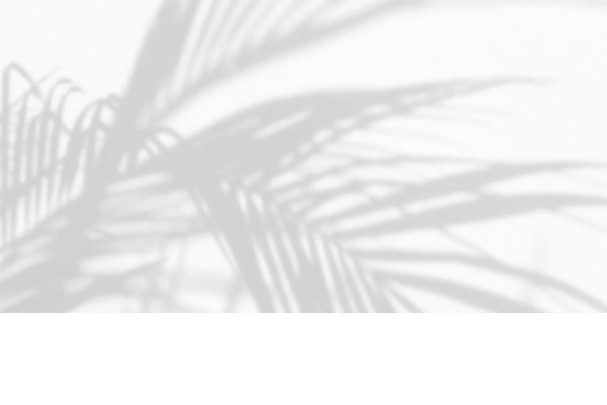 background-palms9.jpg