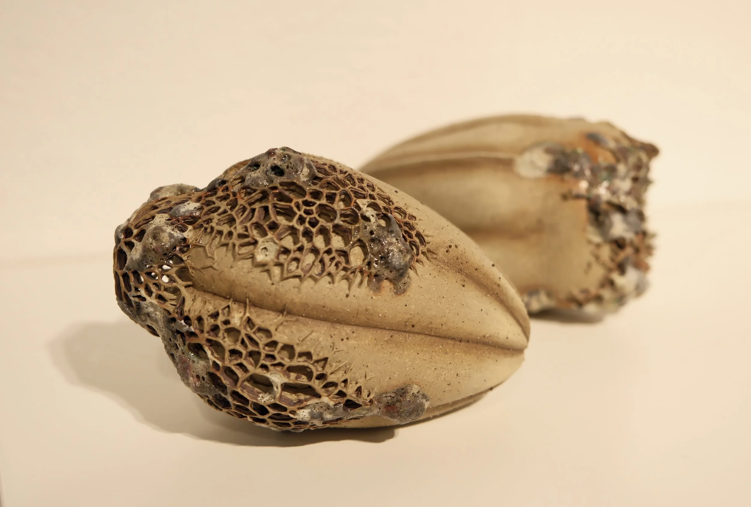 陳承悦 CHAN, shing yuet Letitia