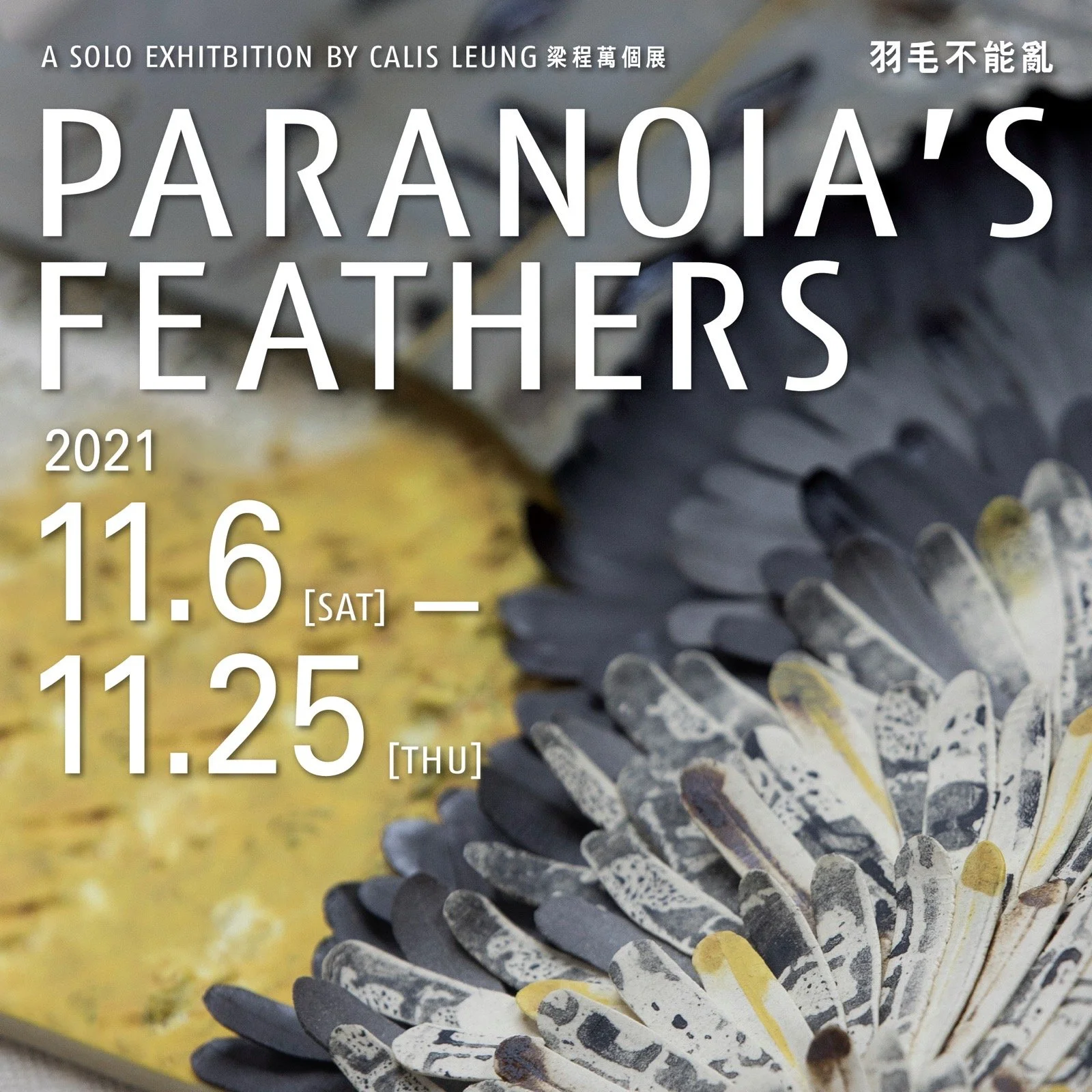 【羽毛不能亂】