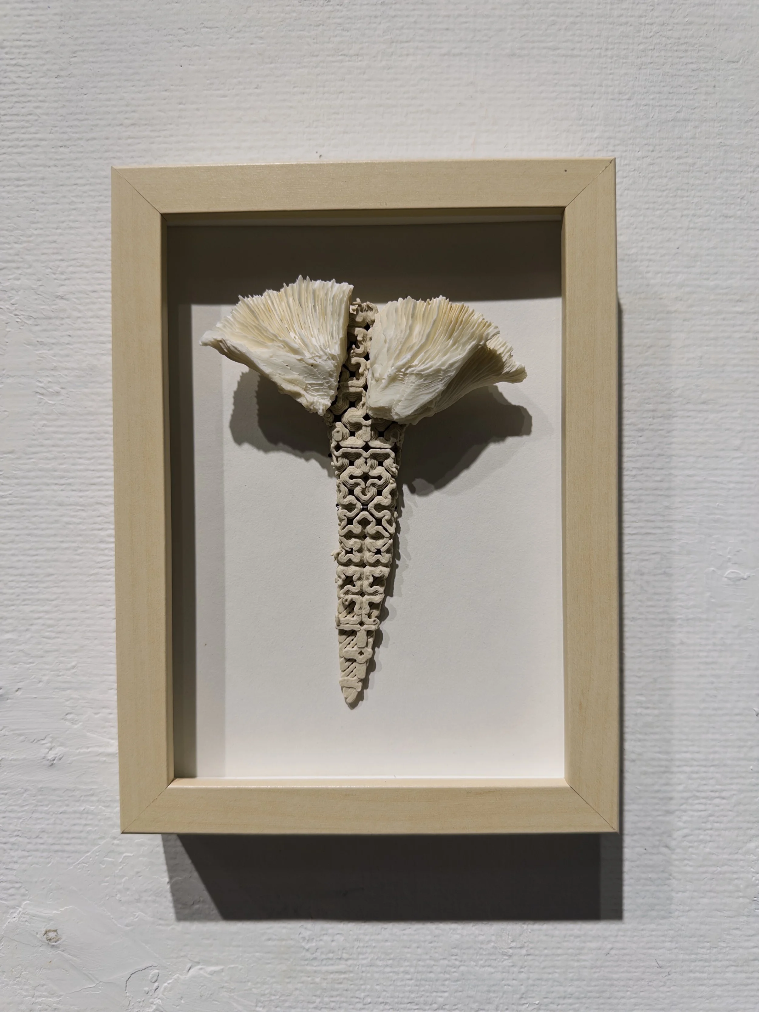 IDG_20250913_214036_098 - Silvester Mok.jpeg