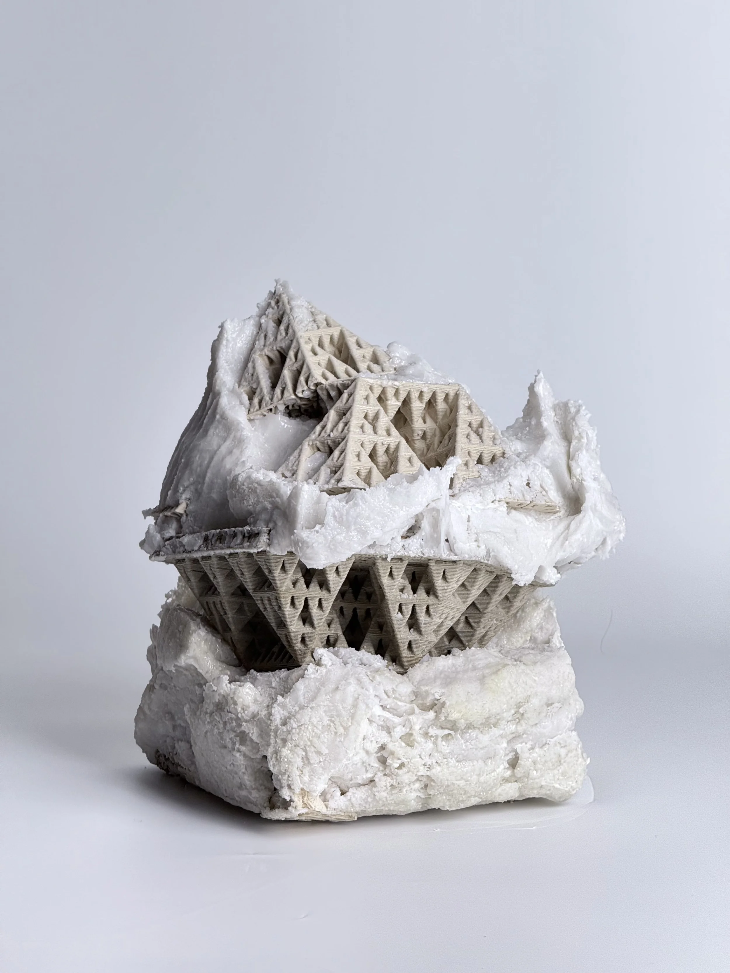 IMG_3348 - Silvester Mok.jpeg