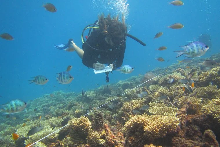 Divers (Get Involved).jpg