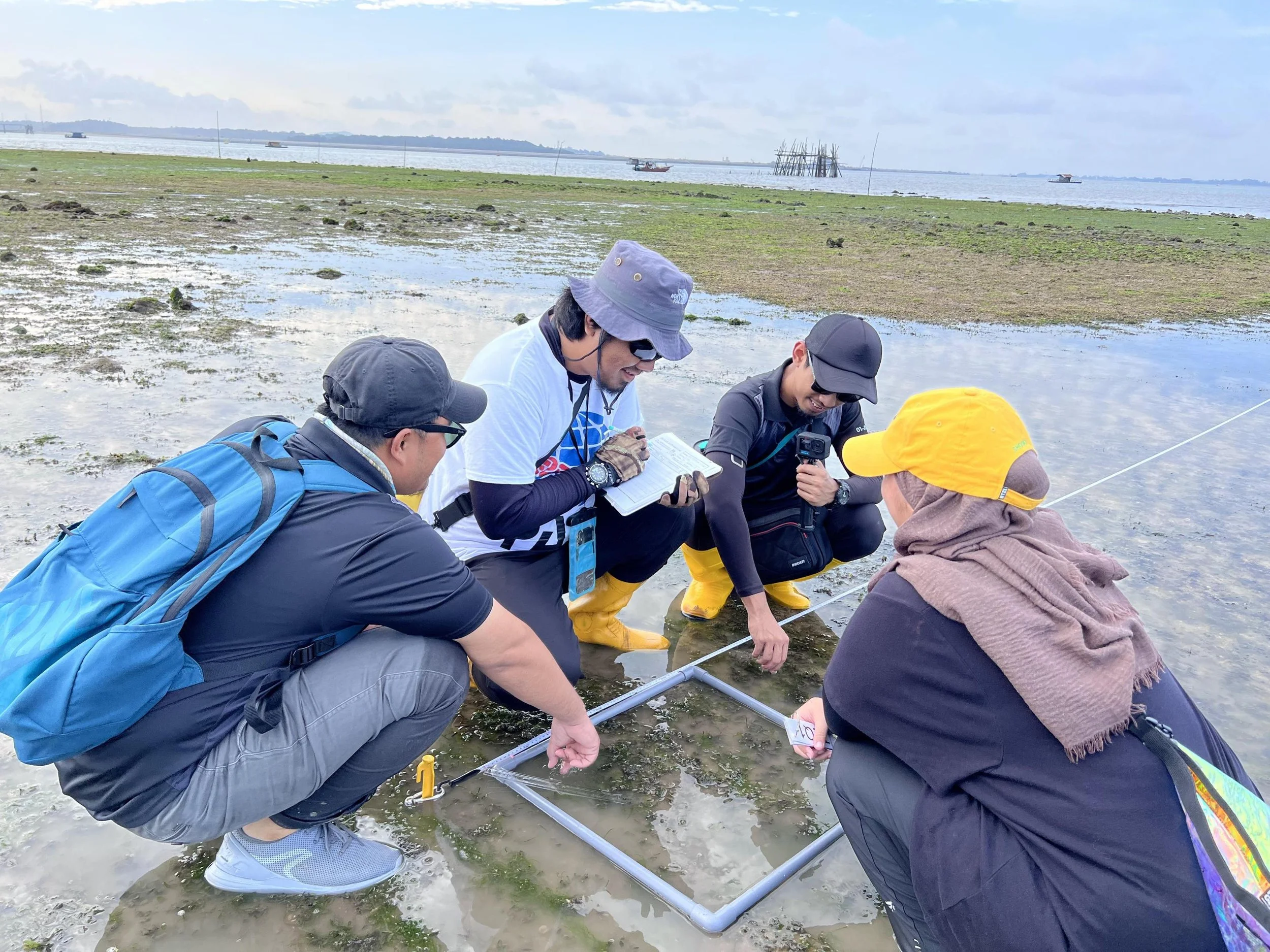Seagrass monitoring conservation Johor Reef Check Malaysia.jpg