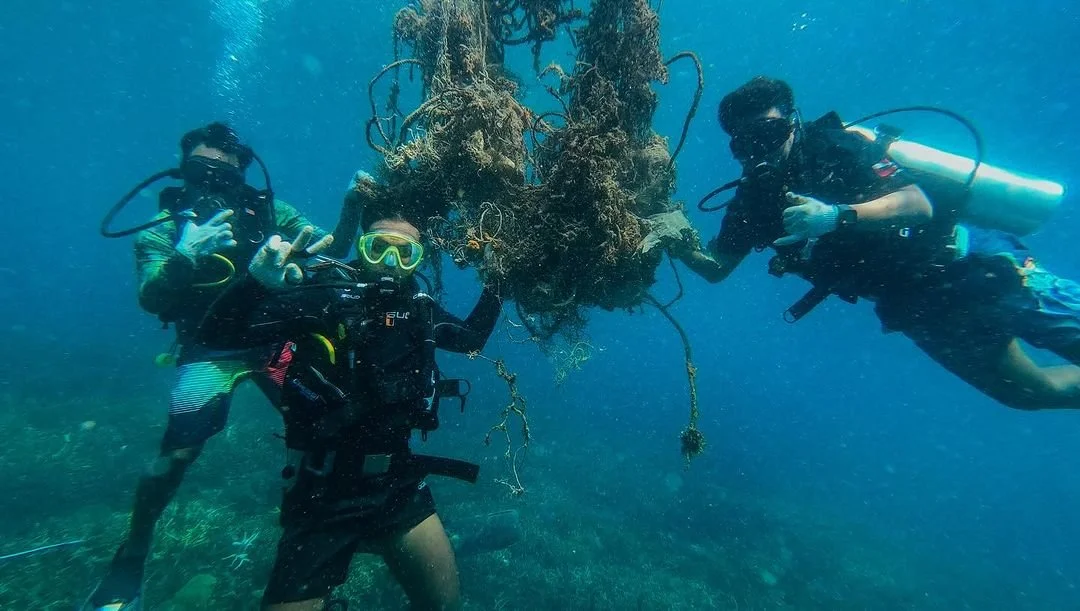 Crown of thorns removal (2).jpg