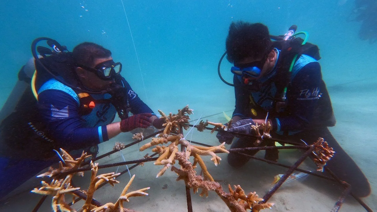 (Part II) The Results of the 2024 Reef Check Surveys: Challenges and Opportunities