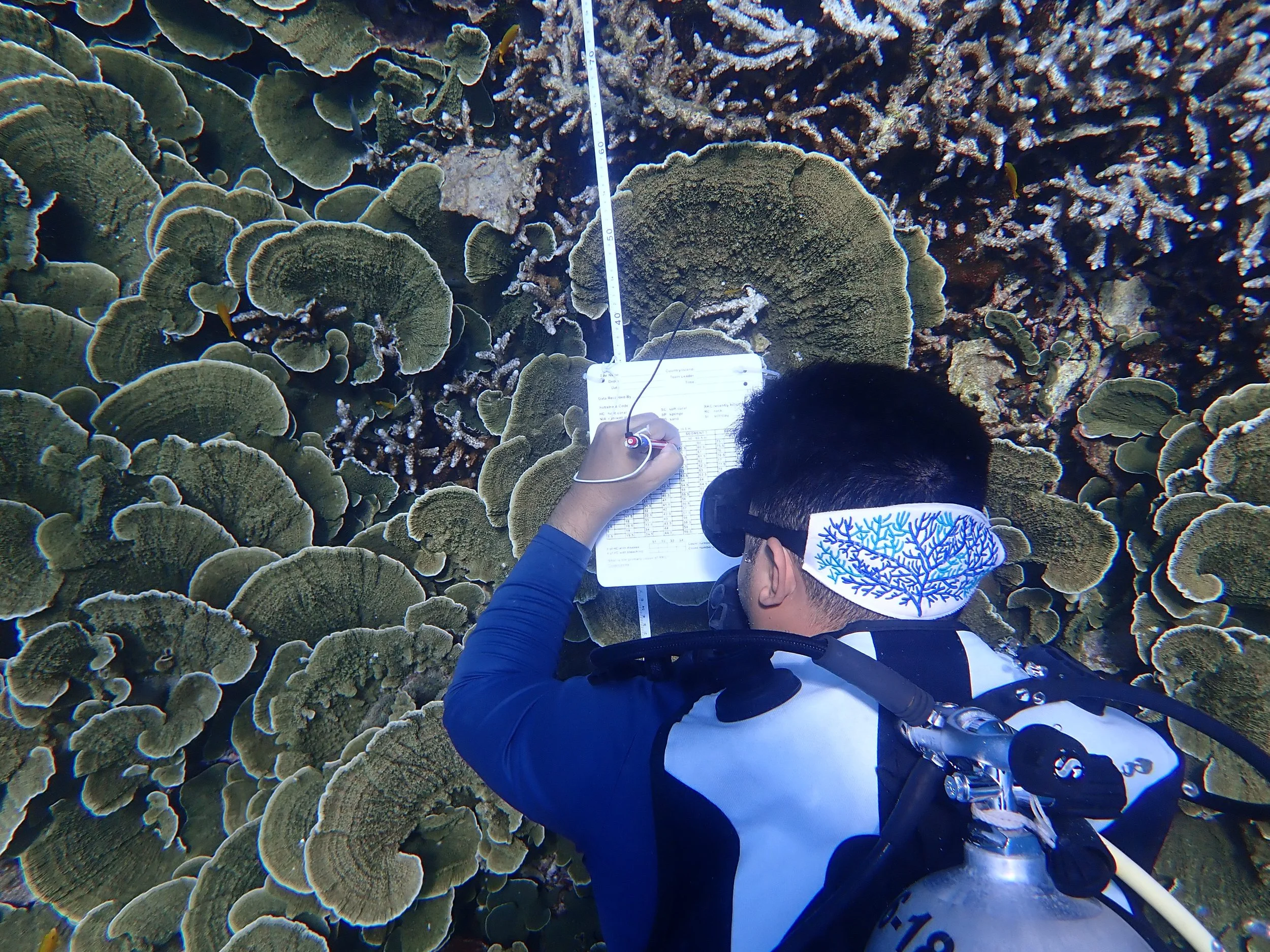 The Results of the 2024 Reef Check Surveys: Challenges and Opportunities