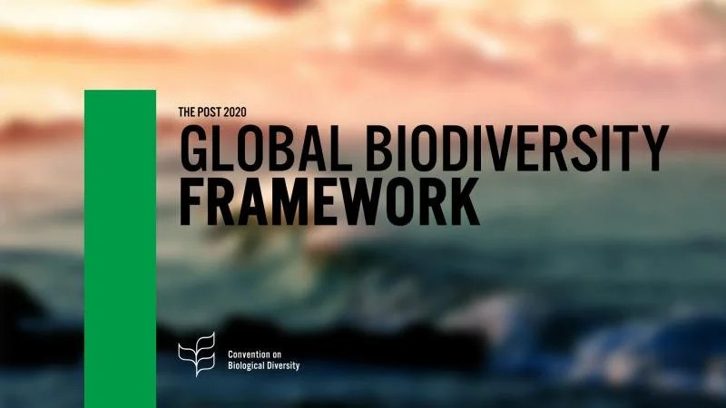 Gbff The Post 2020 Global Biodiversity Framework (GBF) – Where Are We ...