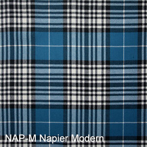 NAP-M Napier Modern.jpg