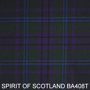 SPIRIT OF SCOTLAND BA408T.jpg
