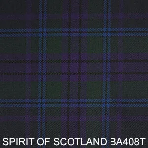 SPIRIT OF SCOTLAND BA408T.jpg