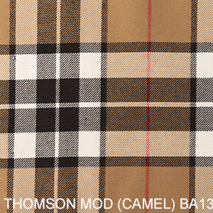 THOMSON MOD (CAMEL) BA139T.jpg