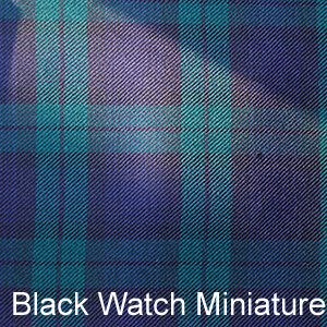 Black Watch Miniature Mod.JPG