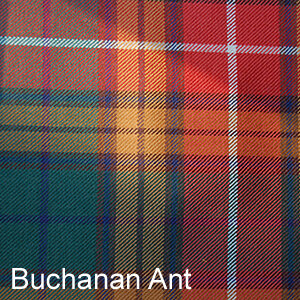 Buchanan Ant.JPG