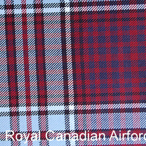 Royal Canadian Airforce.JPG