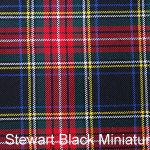 Stewart Black Miniature Mod.JPG