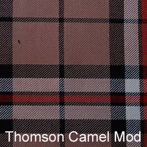 Thomson Camel Mod.JPG