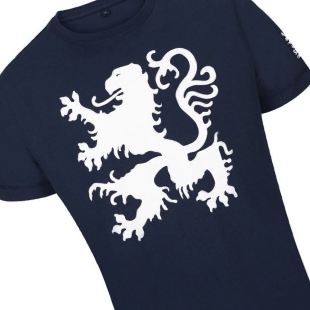 Lion of Judah T-shirt - B the Light Boutique