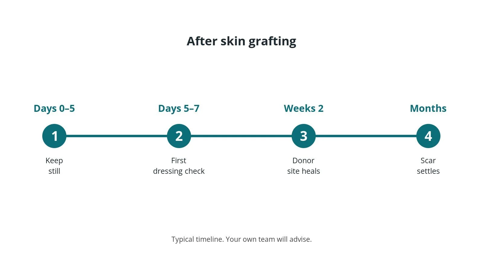 Recovery timeline after skin grafting: Days 0–5: Keep still, Days 5–7: First dressing check, Weeks 2: Donor site heals, Months: Scar settles