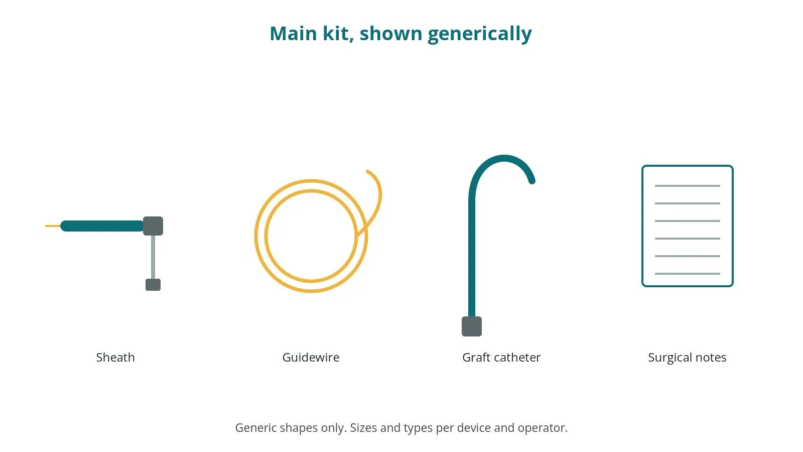 Generic drawings of the main kit: sheath, guidewire, graft catheter, surgical notes
