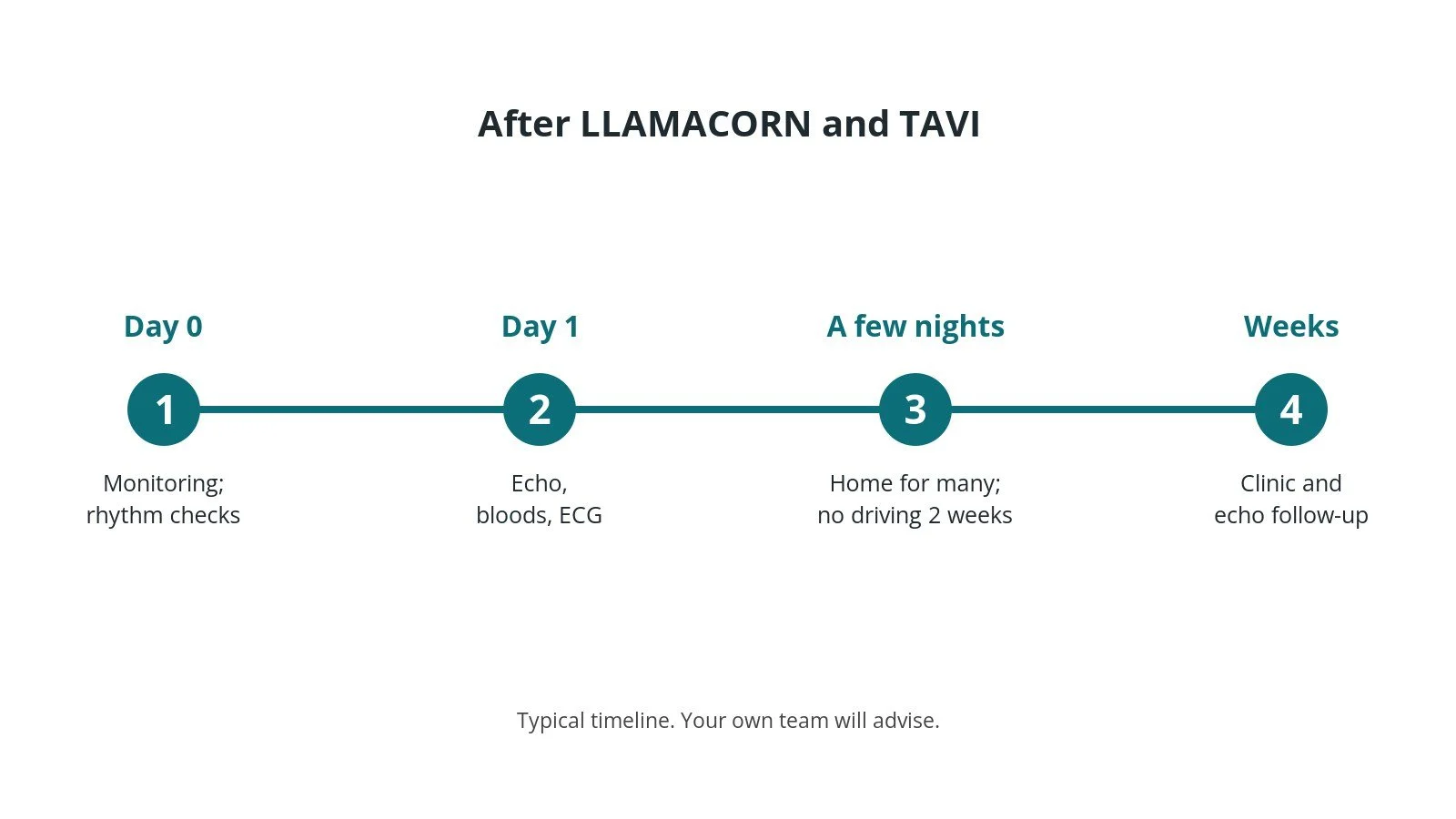 Recovery timeline after LLAMACORN and TAVI: monitoring on day 0, echo after 1 day, home after a few nights, follow-up