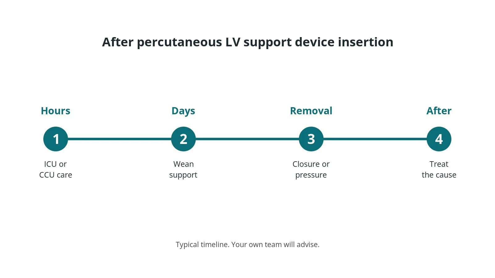 Recovery timeline after percutaneous LV support device insertion: Hours: ICU or CCU care, Days: Wean support, Removal: Closure or pressure, After: Treat the cause