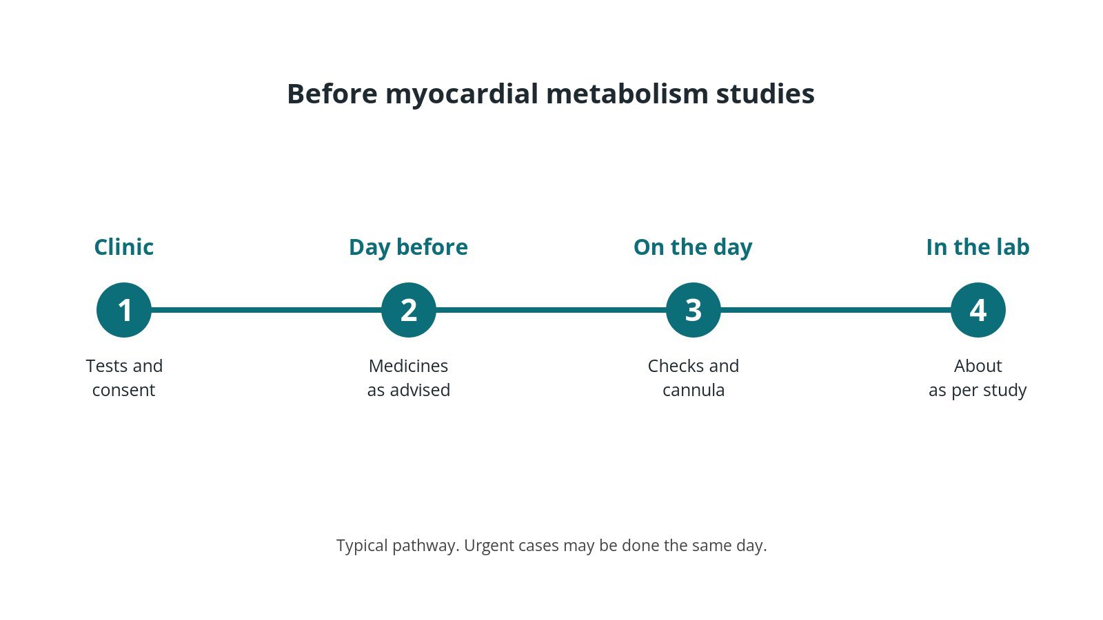 Timeline of the usual steps before myocardial metabolism studies: clinic tests and consent, medicine advice, checks on the day, and the procedure