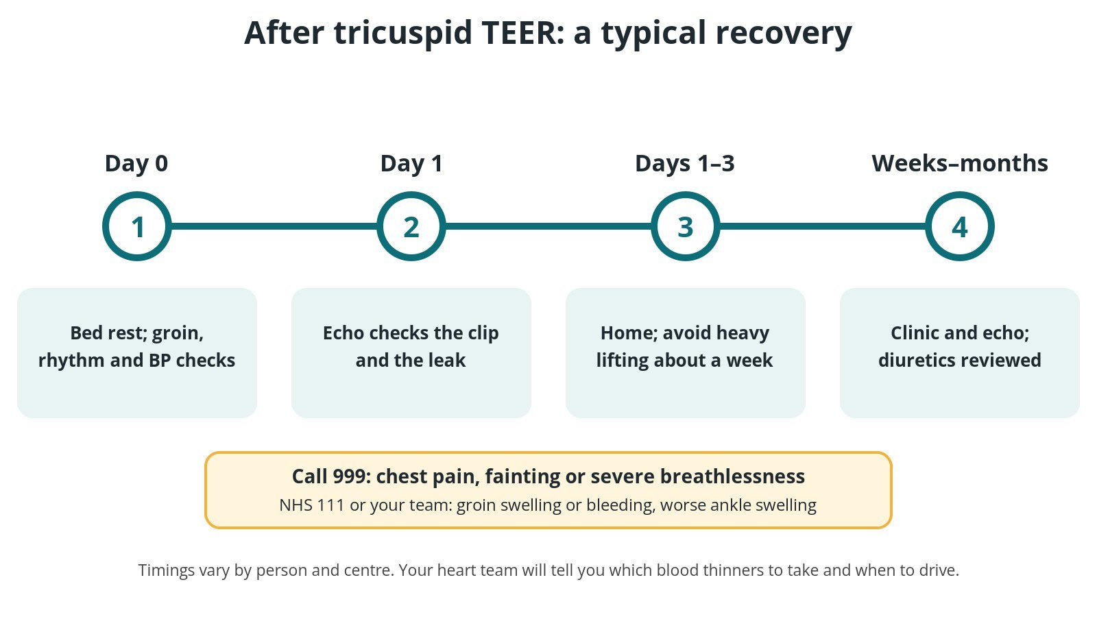 Timeline of recovery after tricuspid TEER