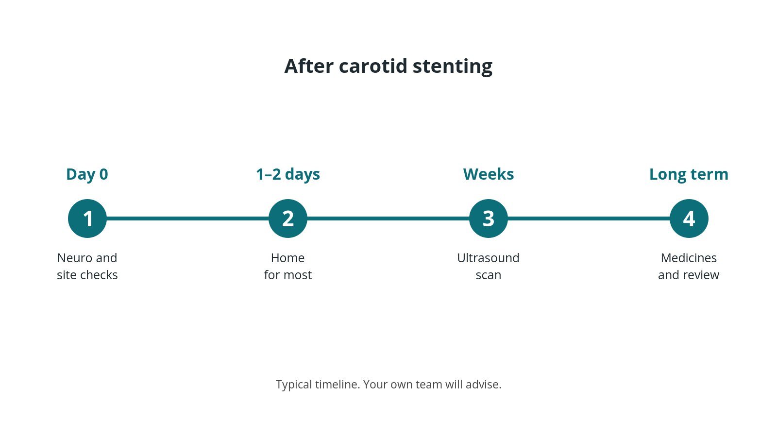 Recovery timeline after carotid stenting: Day 0: Neuro and site checks, 1–2 days: Home for most, Weeks: Ultrasound scan, Long term: Medicines and review
