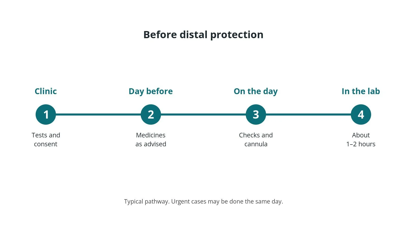 Timeline of the usual steps before distal protection: clinic tests and consent, medicine advice, checks on the day, and the procedure