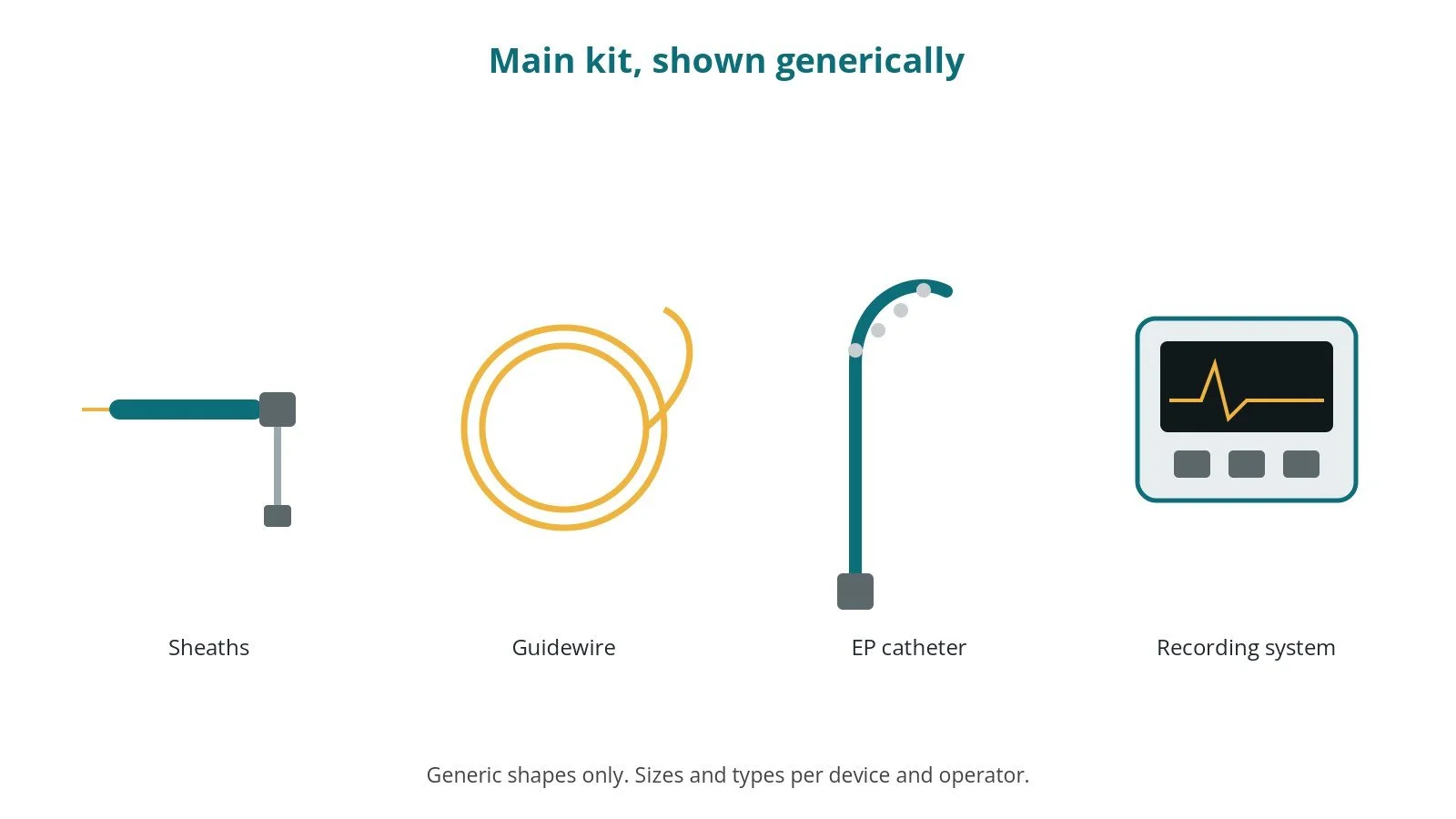 Generic drawings of the main kit: sheaths, guidewire, ep catheter, recording system