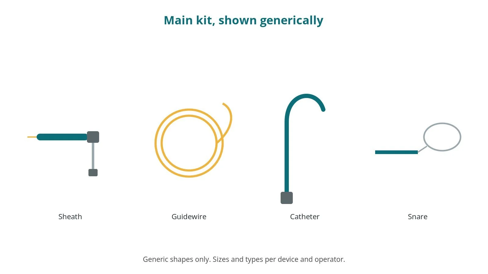 Generic drawings of the main kit: sheath, guidewire, catheter, snare