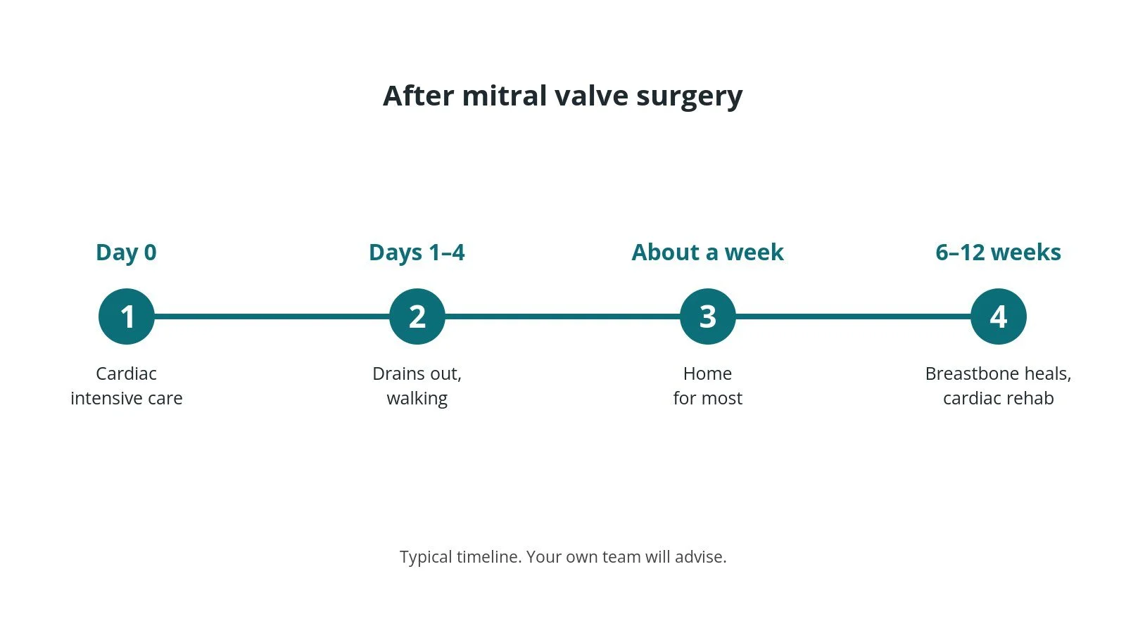 Recovery timeline after mitral valve surgery: Day 0: Cardiac intensive care, Days 1–4: Drains out, walking, About a week: Home for most, 6–12 weeks: Breastbone heals, cardiac rehab