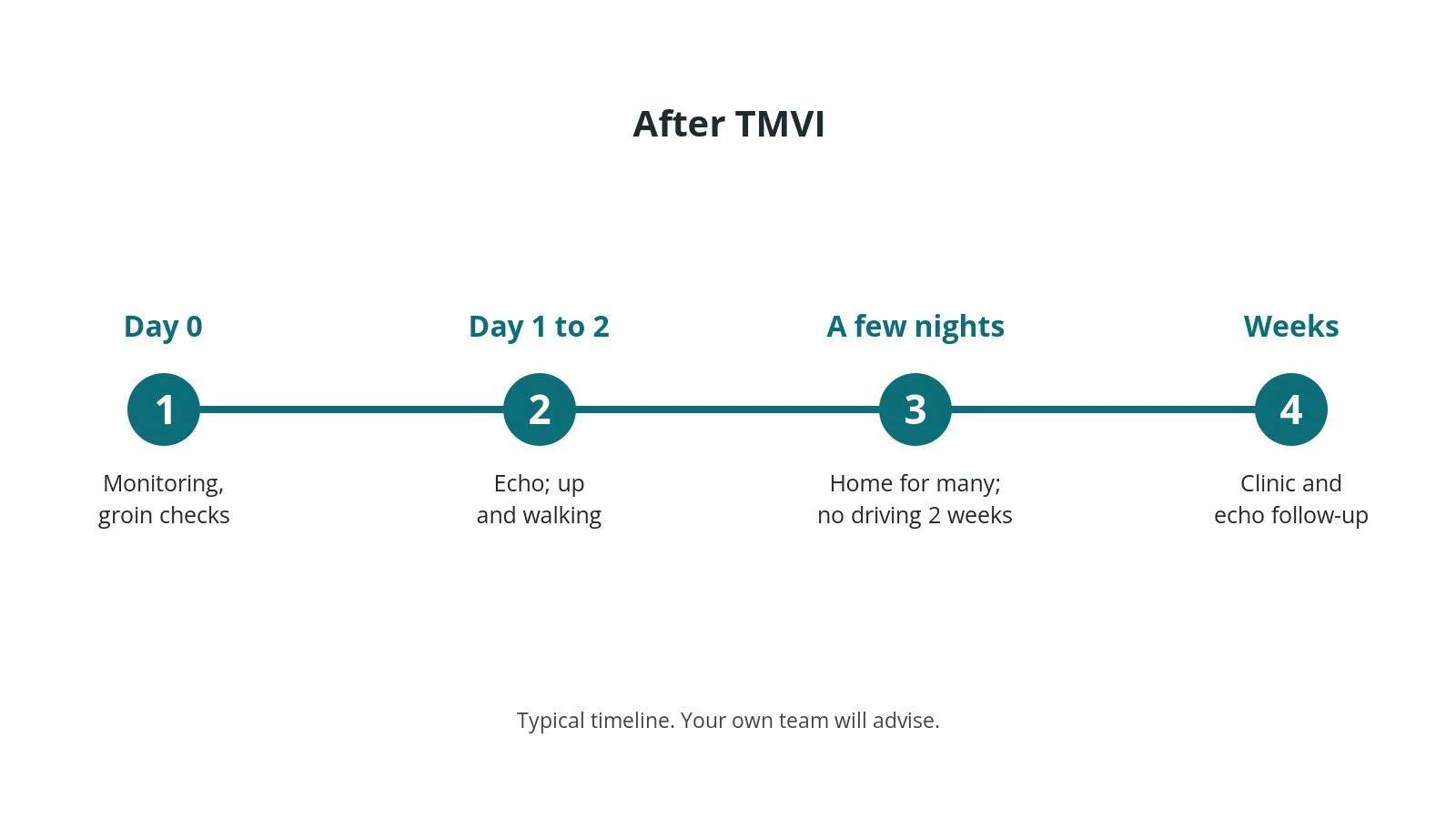 Recovery timeline after TMVI: monitoring on day 0, echo after 1 to 2 days, home after a few nights, follow-up echo