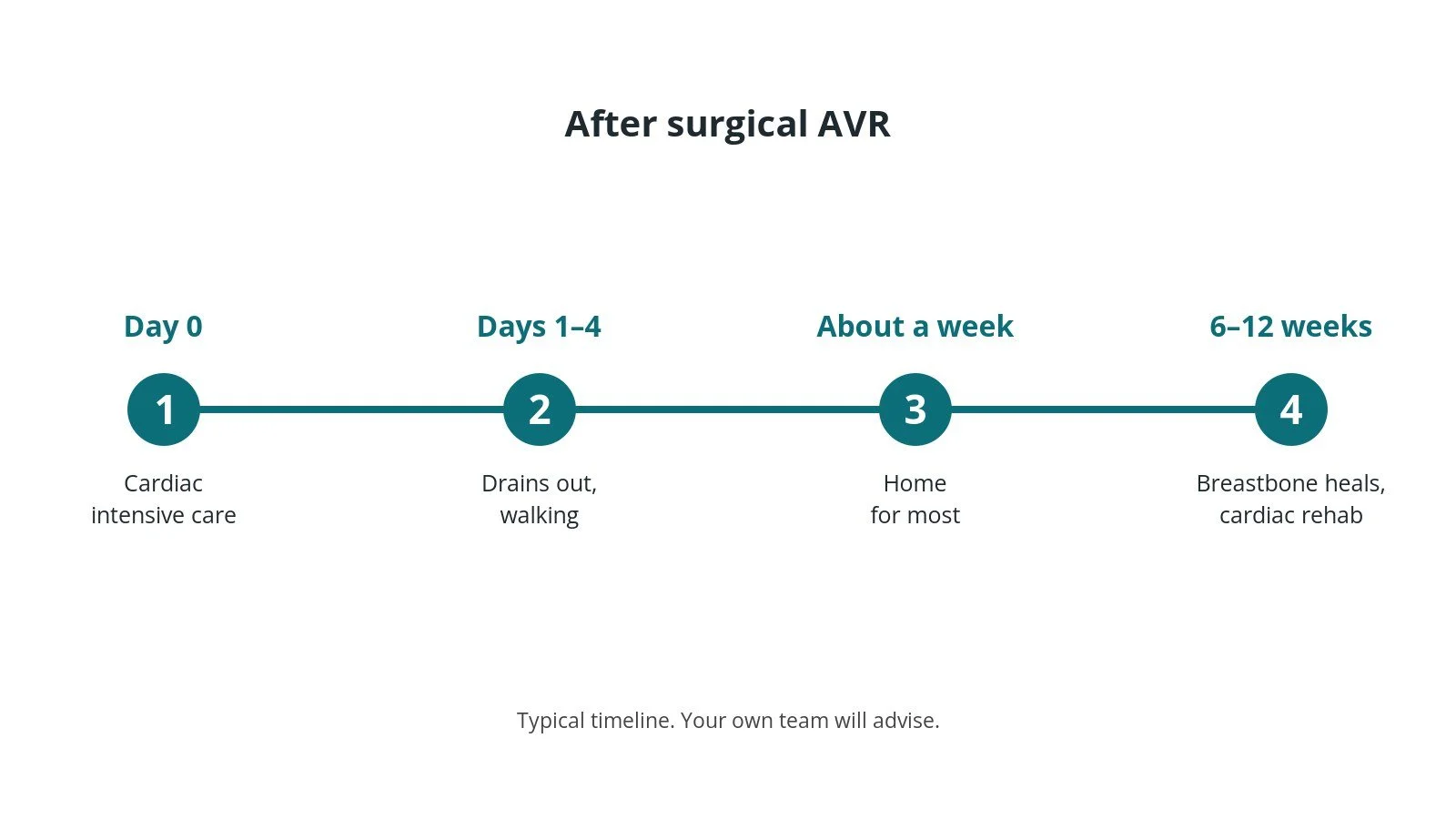 Recovery timeline after surgical AVR: Day 0: Cardiac intensive care, Days 1–4: Drains out, walking, About a week: Home for most, 6–12 weeks: Breastbone heals, cardiac rehab