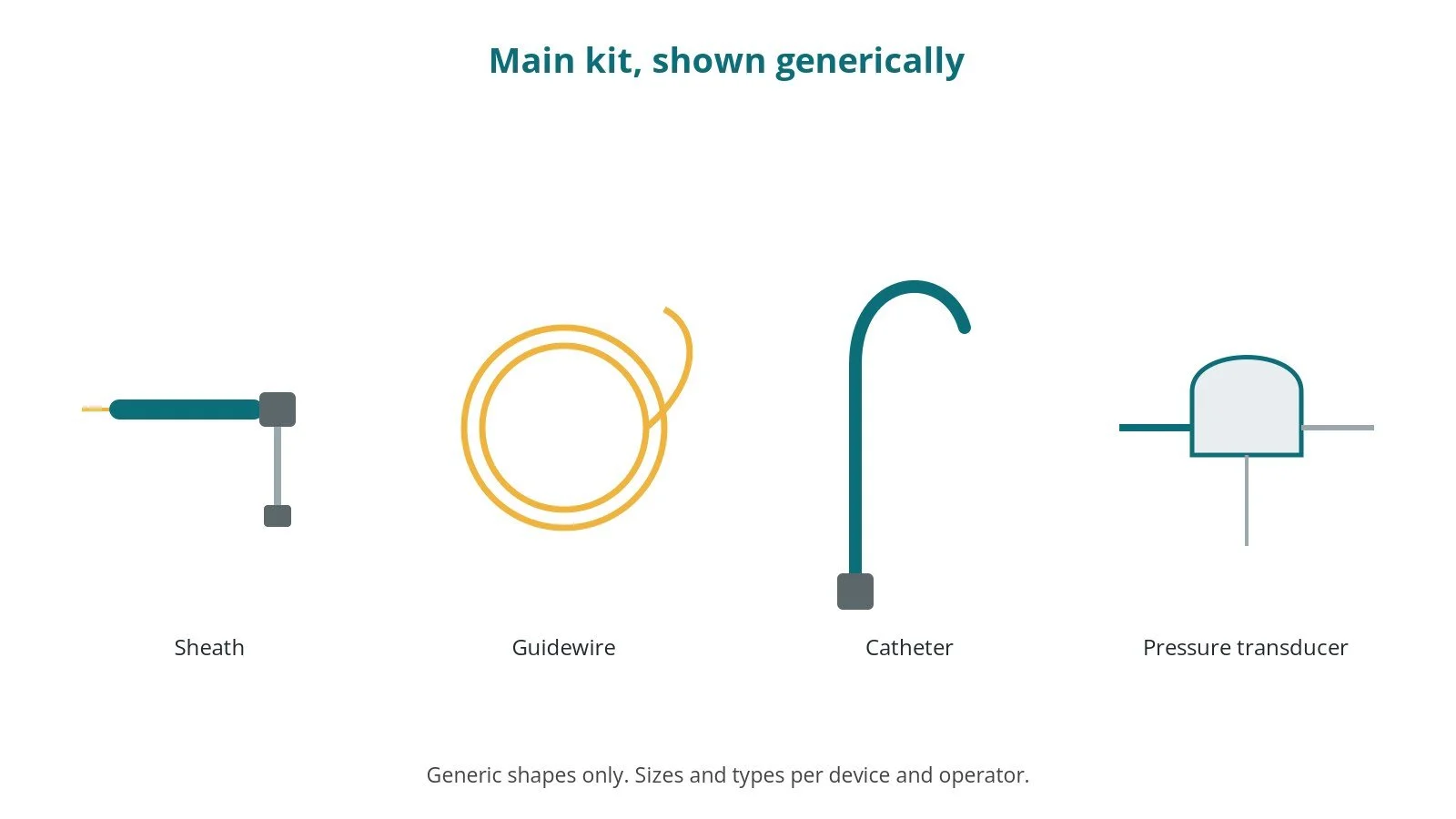 Generic drawings of the main kit: sheath, guidewire, catheter, pressure transducer