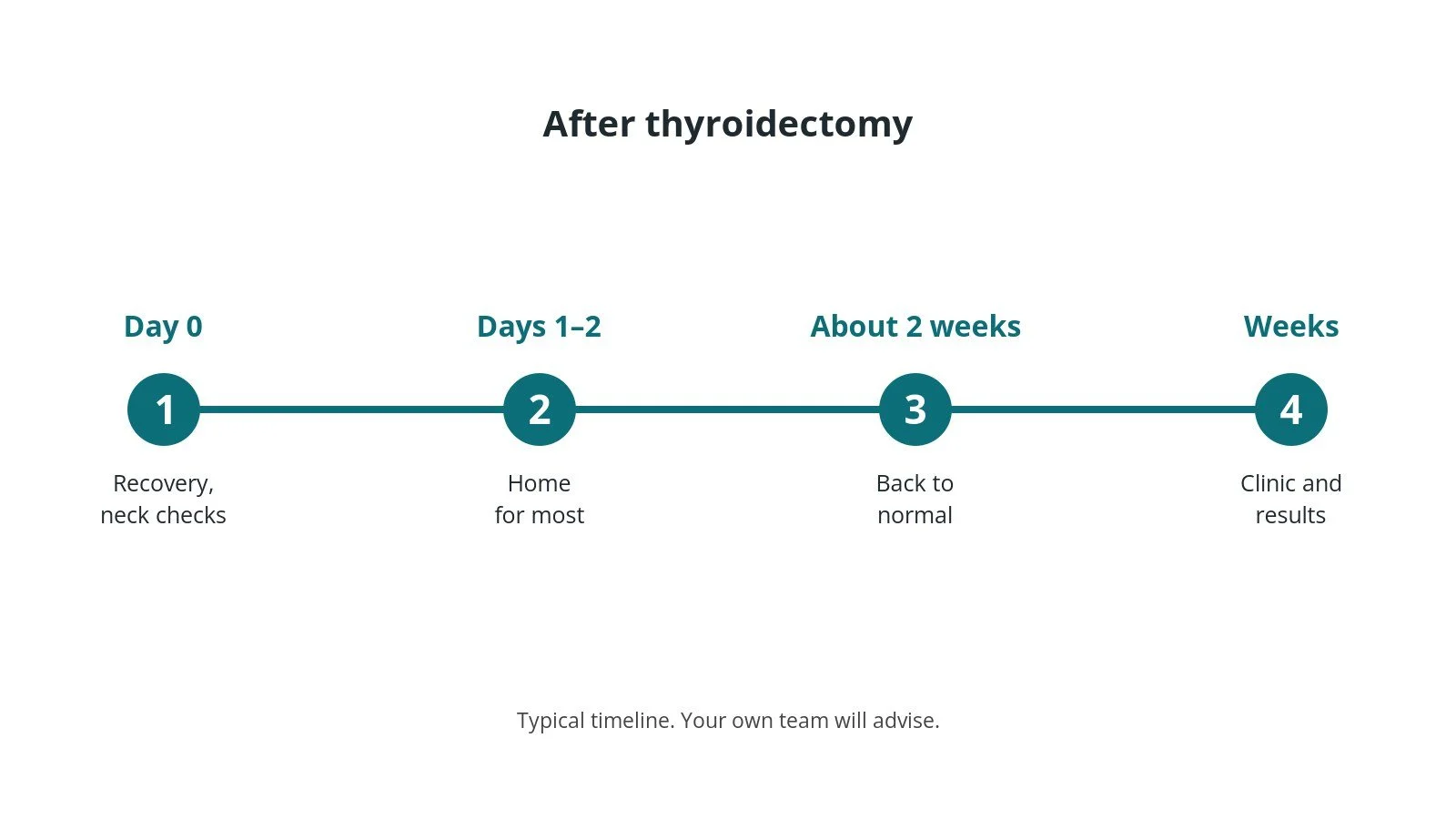 Recovery timeline after thyroidectomy: Day 0: Recovery, neck checks, Days 1–2: Home for most, About 2 weeks: Back to normal, Weeks: Clinic and results