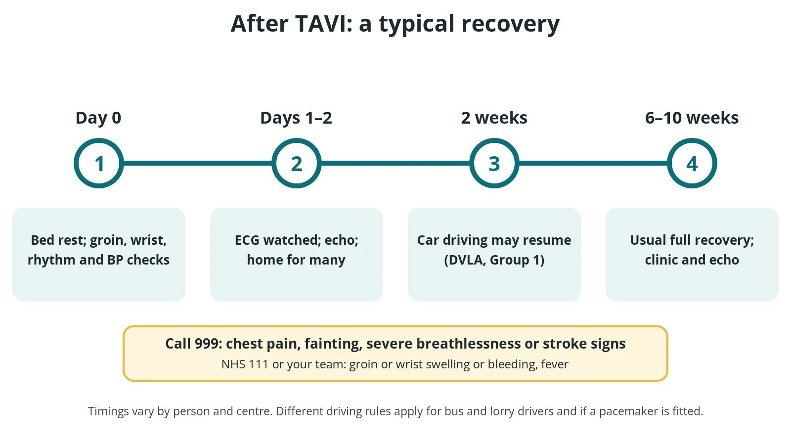 Recovery timeline after TAVI: bed rest and checks on day 0, ECG monitoring, echo and home after one to two days, car driving after two weeks, and usual full recovery by six to ten weeks