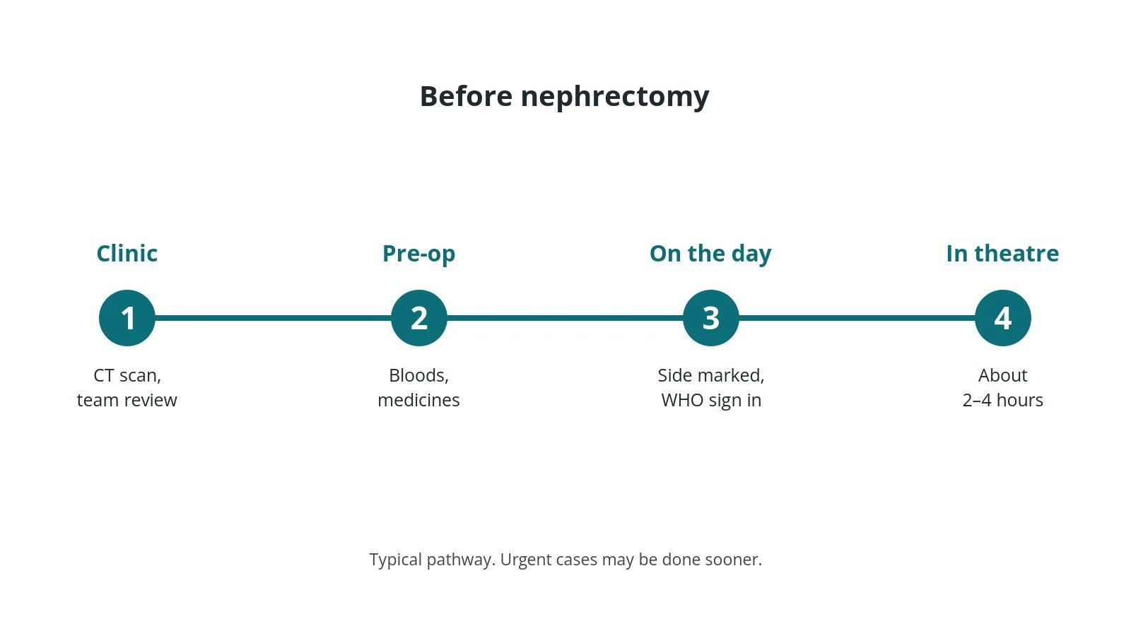 Timeline of the usual steps before nephrectomy: Clinic: CT scan, team review, Pre-op: Bloods, medicines, On the day: Side marked, WHO sign in, In theatre: About 2–4 hours