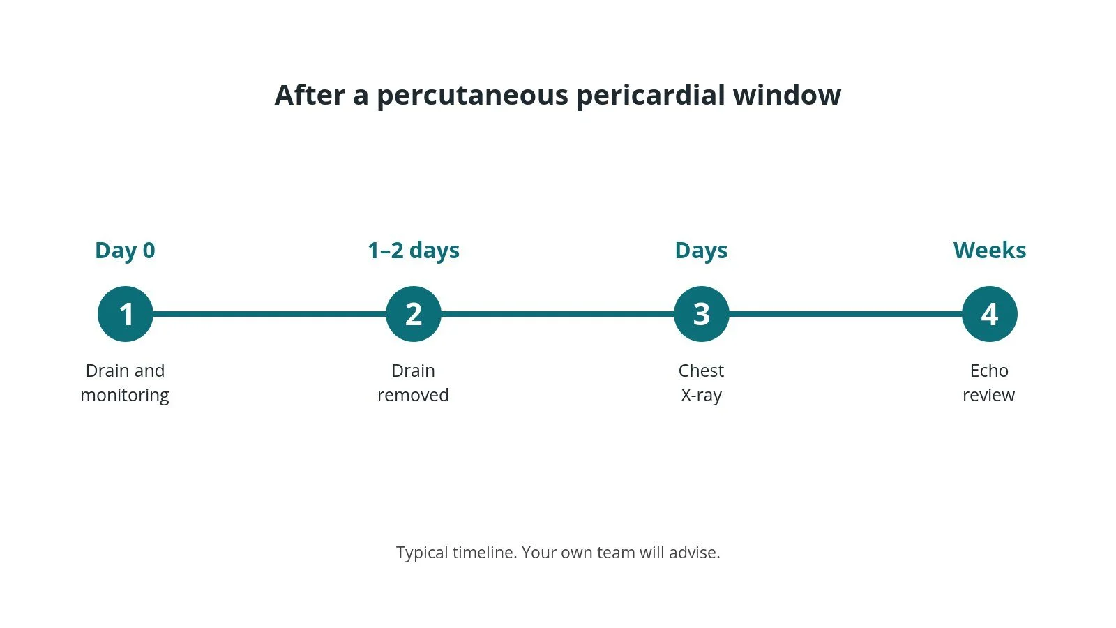 Recovery timeline after a percutaneous pericardial window: Day 0: Drain and monitoring, 1–2 days: Drain removed, Days: Chest X-ray, Weeks: Echo review