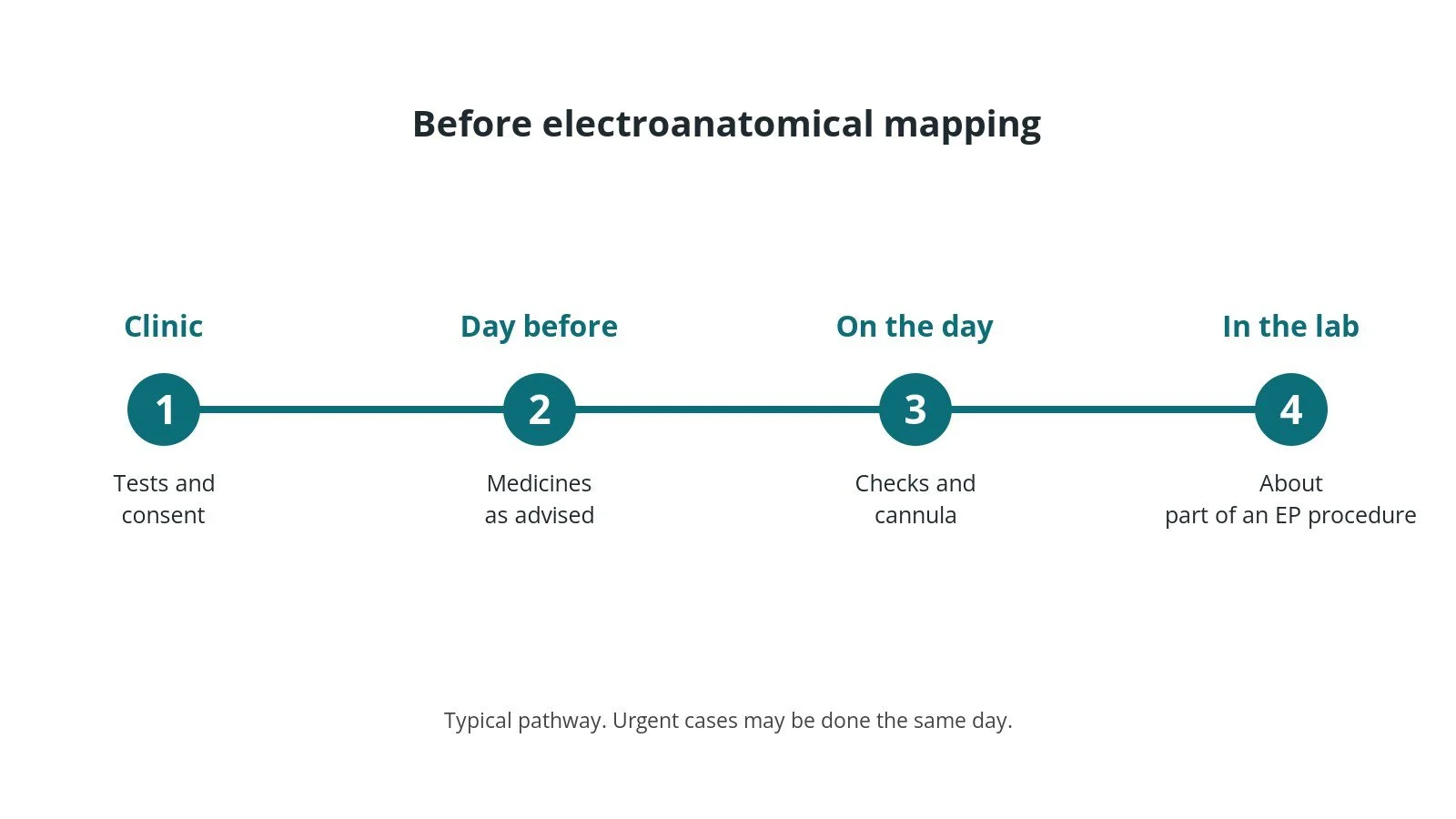 Timeline of the usual steps before electroanatomical mapping: clinic tests and consent, medicine advice, checks on the day, and the procedure