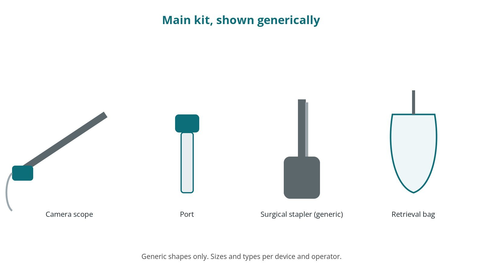 Generic drawings of the main kit: camera scope, port, surgical stapler (generic), retrieval bag