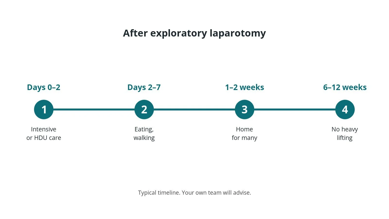 Recovery timeline after exploratory laparotomy: Days 0–2: Intensive or HDU care, Days 2–7: Eating, walking, 1–2 weeks: Home for many, 6–12 weeks: No heavy lifting