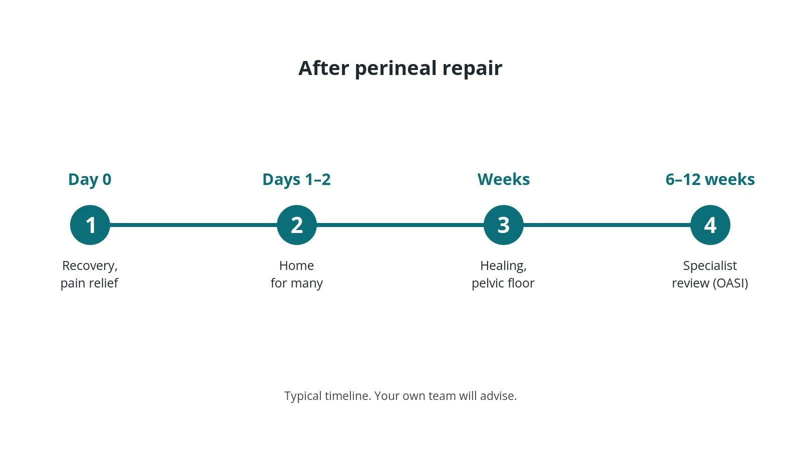 Recovery timeline after perineal repair: Day 0: Recovery, pain relief, Days 1–2: Home for many, Weeks: Healing, pelvic floor, 6–12 weeks: Specialist review (OASI)