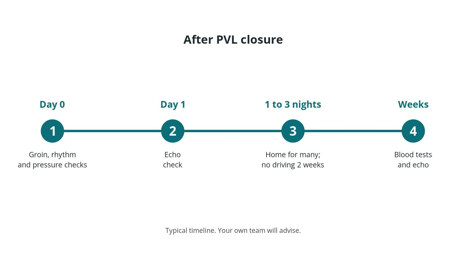 Recovery timeline after PVL closure: checks on day 0, echo after 1 day, home after 1 to 3 nights, blood test and echo follow-up