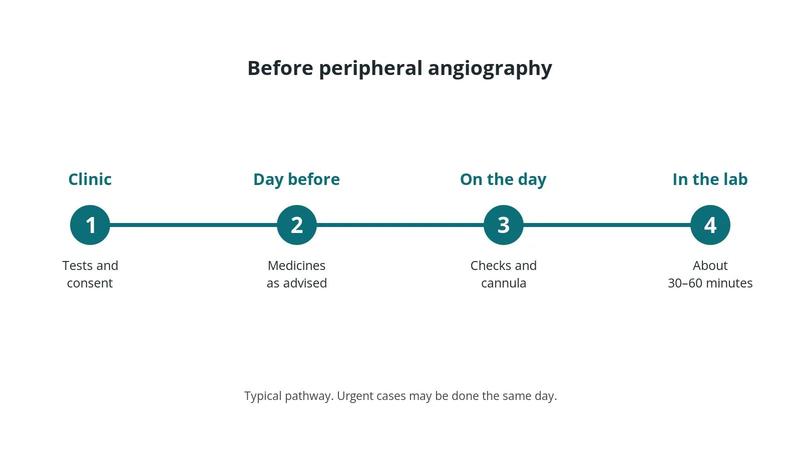 Timeline of the usual steps before peripheral angiography: clinic tests and consent, medicine advice, checks on the day, and the procedure
