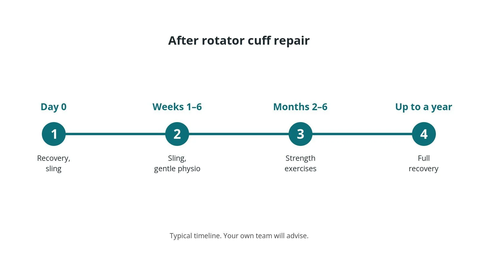 Recovery timeline after rotator cuff repair: Day 0: Recovery, sling, Weeks 1–6: Sling, gentle physio, Months 2–6: Strength exercises, Up to a year: Full recovery